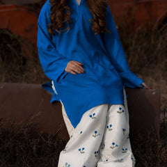 Chery Embroideried Work Blue Farshi Salwar Set